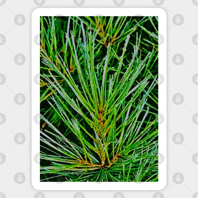 Woodland Pine Sticker by LupiJr